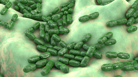 Kingella bacteria, 3D illustration. They colonize children's throat and occasionally cause invasive...