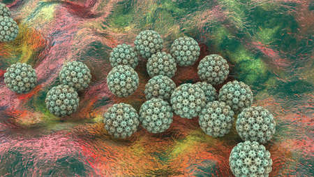 Human papillomavirus, a virus which causes warts located mainly on hands and feet, some strains...