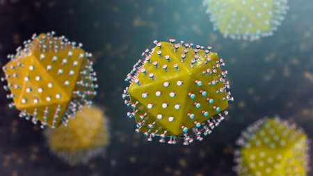 African swine fever virus, 3D illustrationの写真素材