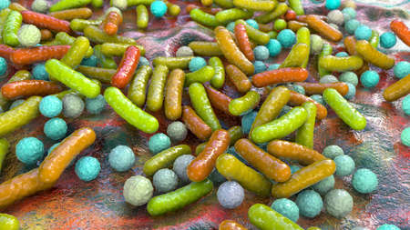 Bacteria of different shaped, rod-shaped bacteria and cocci, human microbiome, human pathogenic bacteria, 3D illustrationの写真素材