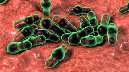 Spore-forming bacteria Clostridium, the causative agent of tetanus, botulism, gas gangrene and pseudomembraneous colitis, 3D illustrationの写真素材