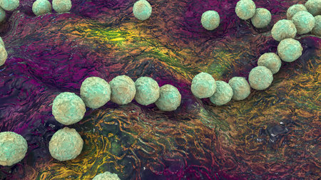 Gram-positive bacteria Streptococcus, S. pyogenes, S. agalactiae and other streptococci, the causative agents of Scarlet fever and other infections, 3D illustrationの写真素材
