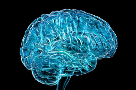 Human brain isolated on black background, scientifically accurate 3D illustrationの写真素材