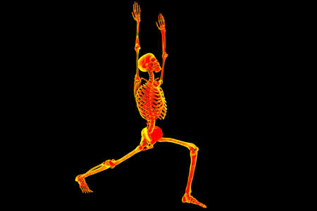 Anatomy of Warrior 1 pose, or Virabhadrasana 1. 3D illustration showing male human body with highlighted skeleton demonstrating the skeletal activity of this yoga postureの写真素材
