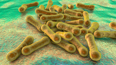 Bacteria Corynebacterium diphtheriae