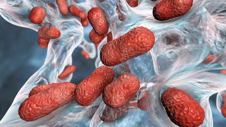 Multidrug resistant bacteria. Biofilm of bacteria Acinetobacter baumannii, the common causative...