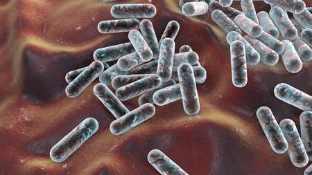 Cutibacterium acnes, formely Propionibacterium acnes, 3D illustration. Bacteria found in hair...