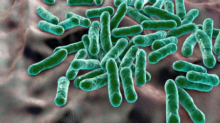 Cutibacterium acnes, formely Propionibacterium acnes, 3D illustration. Bacteria found in hair...