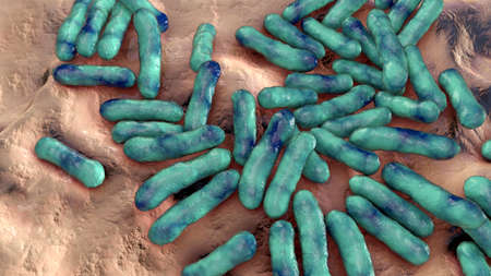 Cutibacterium acnes, formely Propionibacterium acnes, 3D illustration. Bacteria found in hair...