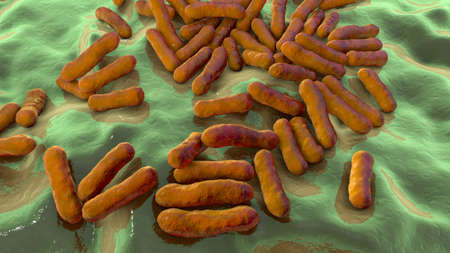 Cutibacterium acnes, formely Propionibacterium acnes, 3D illustration. Bacteria found in hair...