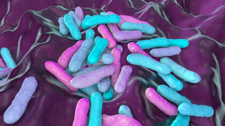 Cutibacterium acnes, formely Propionibacterium acnes, 3D illustration. Bacteria found in hair follicles and associated with development of acne, chronic blepharitis and endophthalmitisの写真素材
