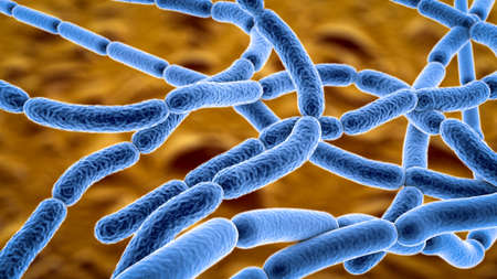 Bacteria Bacillus anthracis, the causative agent of anthrax disease, 3D illustration