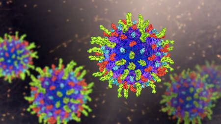 Herpes simplex virus, 3D illustration