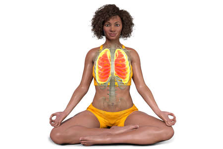 A woman in Lotus yoga position, or Padmasana, with highlighted lungs, 3D illustration. Respiratory...