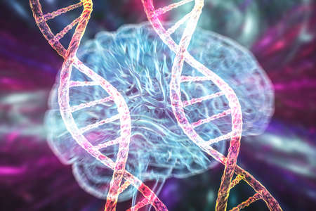 Genetic brain disorders, conceptual 3D illustration. Mutations in the DNA leading to brain diseases....