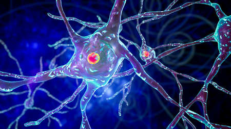 Intranuclear neuronal inclusions, 3D illustration. Intranuclear inclusions in neurons are found in...
