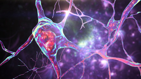 Neurons of Dorsal striatum, 3D illustration. The dorsal striatum is a nucleus in the basal ganglia,...