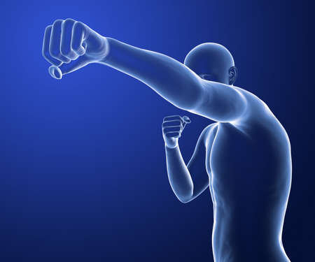 Anatomy of boxing sport, 3D illustration. Human male body in boxing positionの写真素材