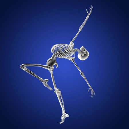 Anatomy of dancing and ballet, 3D illustration showing skeletal activity in ballet dancingの写真素材