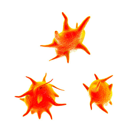 Activated platelets, also known as thrombocytes, blood cells responsible for the healing and closure...