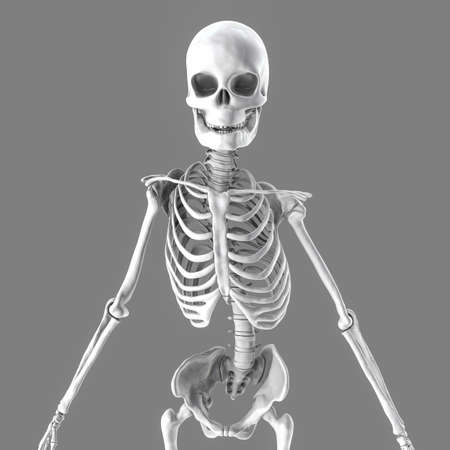 Scoliosis, 3D illustration. A human skeleton with curved spine, uneven shoulders and hipsの写真素材