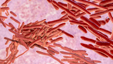 Erysipelothrix bacteria, 3D illustration. A species of pleomorphic rod-shaped bacteria causing the...
