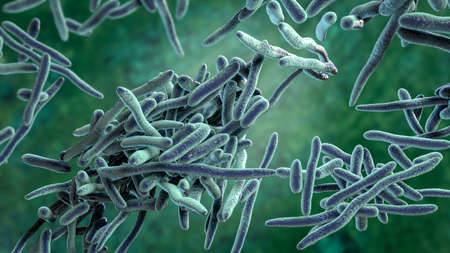 Erysipelothrix bacteria, 3D illustration. A species of pleomorphic rod-shaped bacteria causing the...