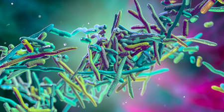 Erysipelothrix bacteria, 3D illustration. A species of pleomorphic rod-shaped bacteria causing the...