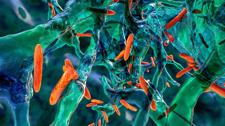 Mycobacterium tuberculosis bacteria, the causative agent of tuberculosis, 3D illustration. M....