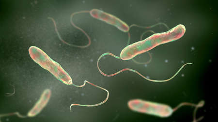 Scientific image of motile flagellated bacteria. Bacterium Stenotrophomonas maltophilia, 3D illustration. Bacilli that cause nosocomial infections, endocarditis, wound infections, bacteremia and otherの写真素材