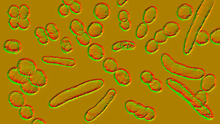 Bacteria of different shapes, 3D illustration. Cocci, rod-shaped bacteria
