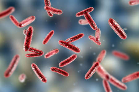 Scientific image of bacteria Citrobacter, Gram-negative bacteria from Enterobacteriaceae family, 3D illustration. Found in human intestine, can cause urinary infections, infant meningitis and sepsisの写真素材