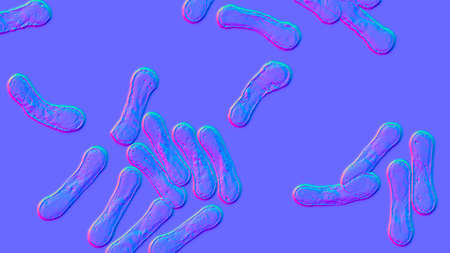 Scientific image of bacteria Corynebacterium showing their characteristic morphology, rod-shaped bacteria with wider ends and club shape appearance, 3D illustration. C. diphtheriae and otherの写真素材