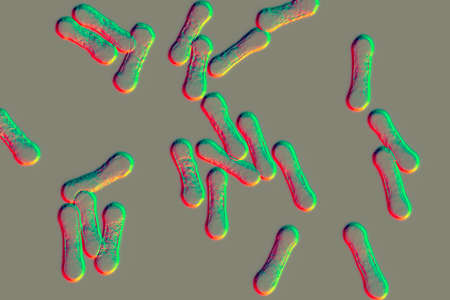 Scientific image of bacteria Corynebacterium showing their characteristic morphology, rod-shaped bacteria with wider ends and club shape appearance, 3D illustration. C. diphtheriae and otherの写真素材