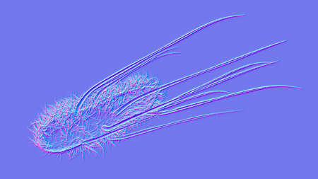 Escherichia coli bacteria, 3D illustration. E. coli is a Gram-negative rod-shaped motile bacterium covered with flagellaの写真素材