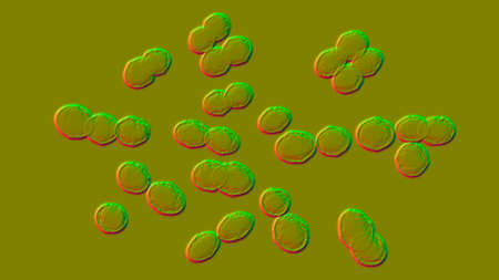 Bacteria Lactococcus, 3D illustration. Gram-positive cocci, lactic acid bacteria used in the dairy...