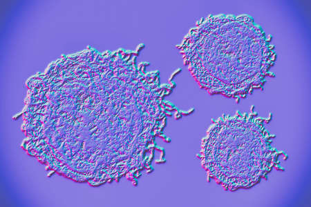 Cancer cells, malignant cells, scientific 3D illustrationの写真素材