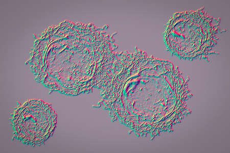 Cancer cells, malignant cells, scientific 3D illustrationの写真素材