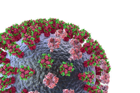 Influenza virus H3N2, 3D illustration showing surface glycoprotein spikes hemagglutinin and...