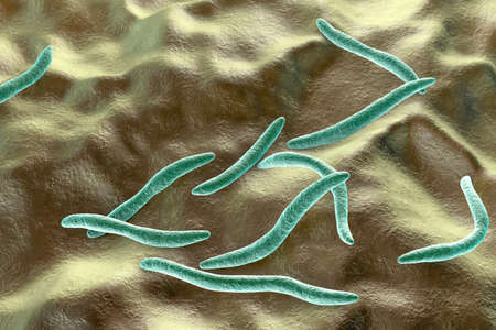Fusobacterium, 3D illustration. An oral bacterium, causes periodontal diseases, periodontal plague...