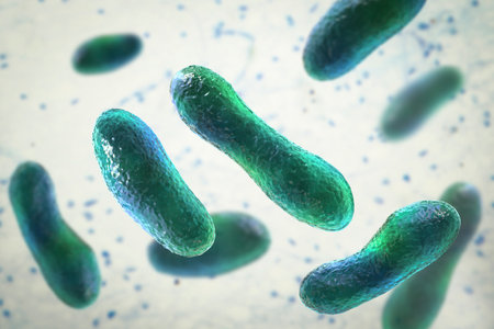 Bacteria Coxiella burnetii, 3D illustration. Gram-negative bacteria that cause Q fever, are...