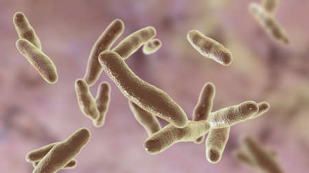 Bilophila wadsworthia bacteria, 3D illustration. Anaerobic bile resistant bacterium found in lower...