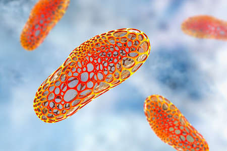 Destruction of bacterium, conceptual 3D illustration. Bacterium with wholes in its cell wall. Action...