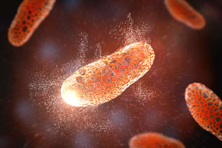 Destruction of bacterium, conceptual 3D illustration. Bacterium with wholes in its cell wall. Action...