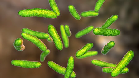 Bacteria Sphingomonas, scientific 3D illustration. Gram-negative rod-shaped bacterium widely...