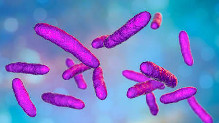 Bacteria Sphingomonas, scientific 3D illustration. Gram-negative rod-shaped bacterium widely distributed in nature, and also was isolated in patients with peritonitis, septicemia, meningitis and otherの写真素材