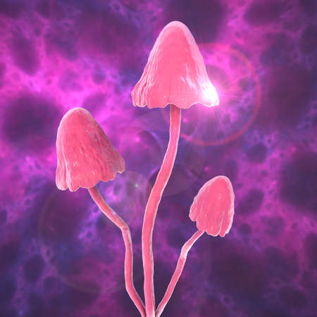 Psilocybin mushrooms, 3D illustration. Commonly known as magic mushrooms, a group of fungi that...