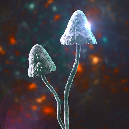 Psilocybin mushrooms, 3D illustration. Commonly known as magic mushrooms, a group of fungi that...