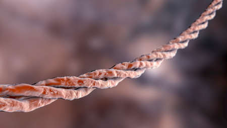 Collagen triple helix molecules, 3D illustration showing a collagen molecule, the main component of connective tissue, also used as skin and hair care cosmeticsの写真素材