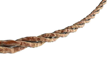 Collagen triple helix molecules, 3D illustration showing a collagen molecule, the main component of...